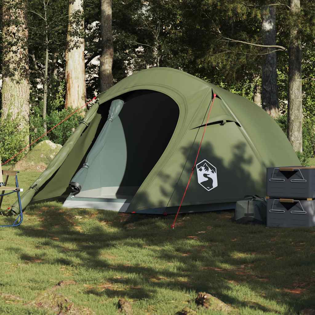 vidaXL Camping teltta tunneli 2-hengen